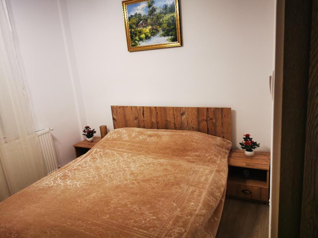 Violet Residence Targu Mures Ngoại thất bức ảnh