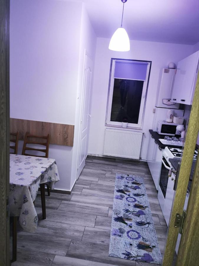 Violet Residence Targu Mures Ngoại thất bức ảnh