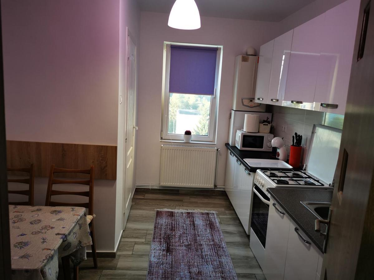 Violet Residence Targu Mures Ngoại thất bức ảnh